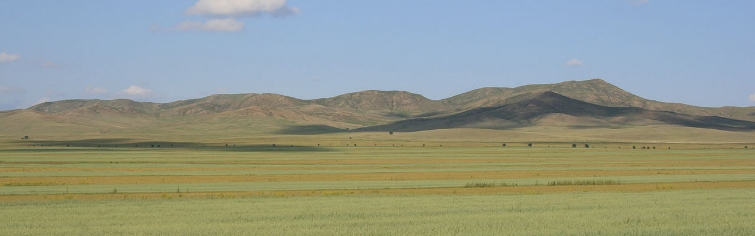 Природа родного края